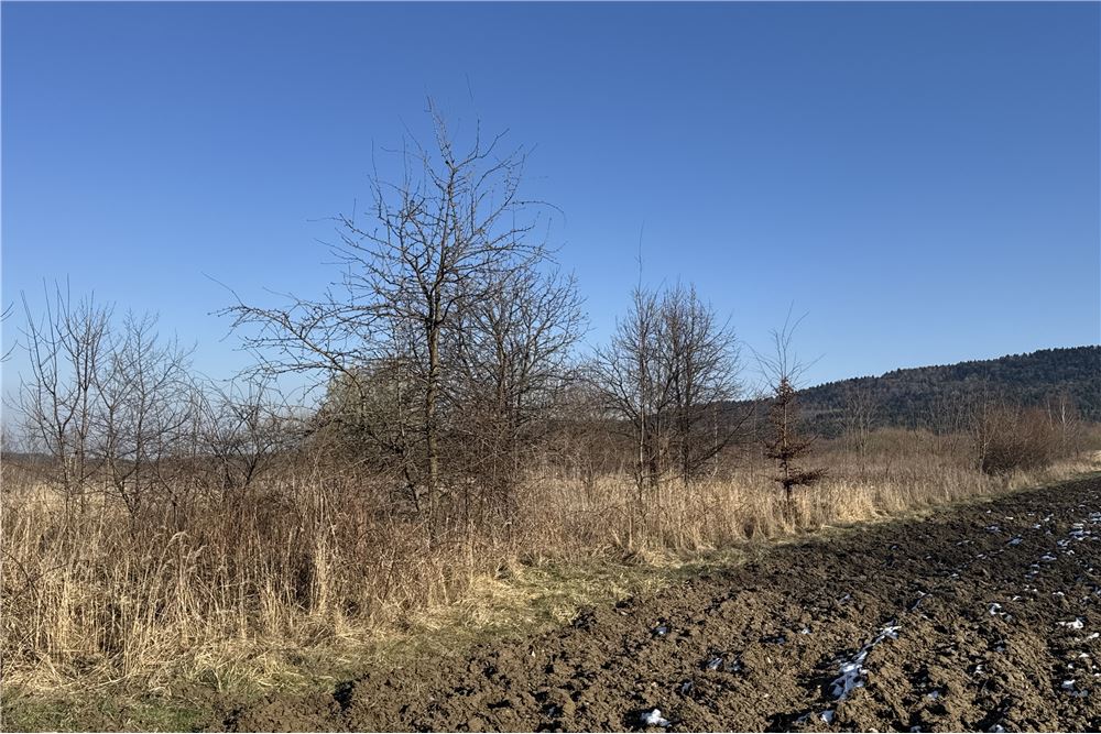 Działka - Sprzedaż - Chocznia, Polska - 12 - 800061100-79