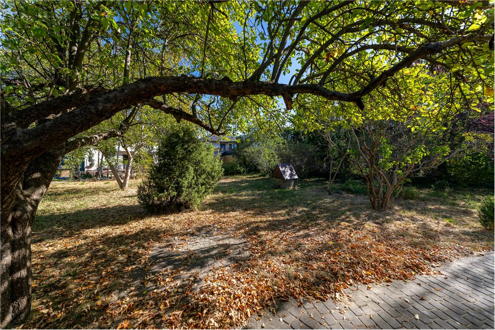 Działka budowlana - Sprzedaż - Warszawa, Polska - 16 - 810251007-90