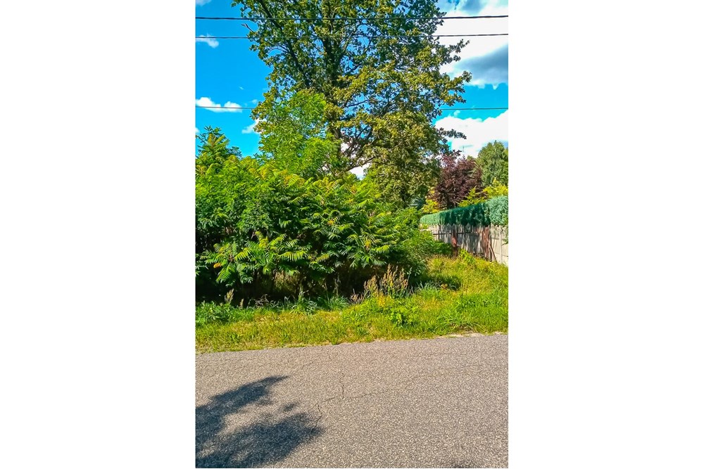 Działka - Sprzedaż - Grabostów, Polska - Dzialki-na-sprzedaz-8.jpg - 470191057-28