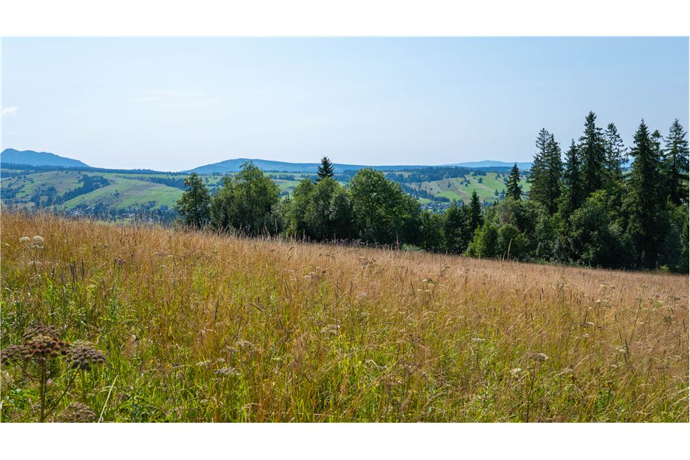 Nieruchomość gruntowa - Sprzedaż - Dzianisz, Polska - 41 - 800061116-23