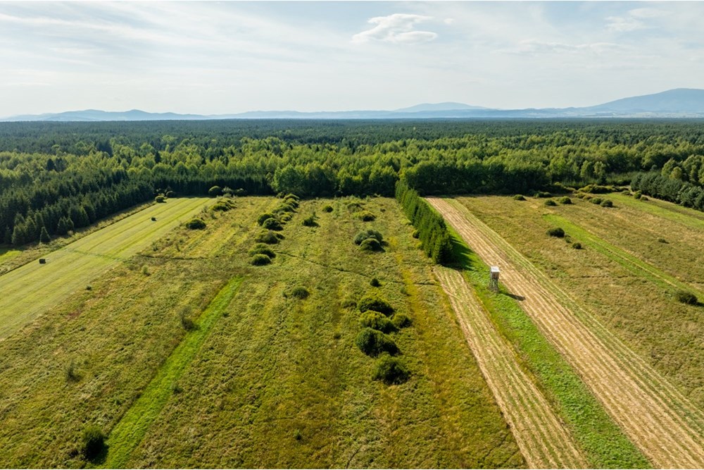 Nieruchomość gruntowa - Sprzedaż - Czarny Dunajec, Polska - 20250828-DJI_0148-HDR.jpg - 470151039-62