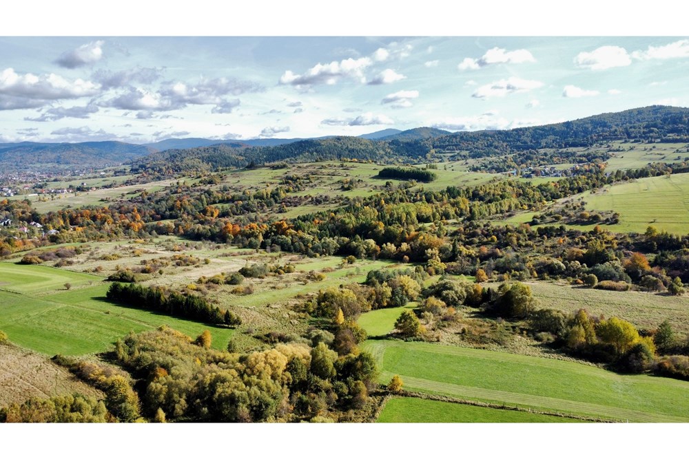 Nieruchomość inwestycyjna - Sprzedaż - Żywiec, Polska - dji_fly_20251013_125114_196_1760441770295_photo_optimized.jpeg - 800061098-178