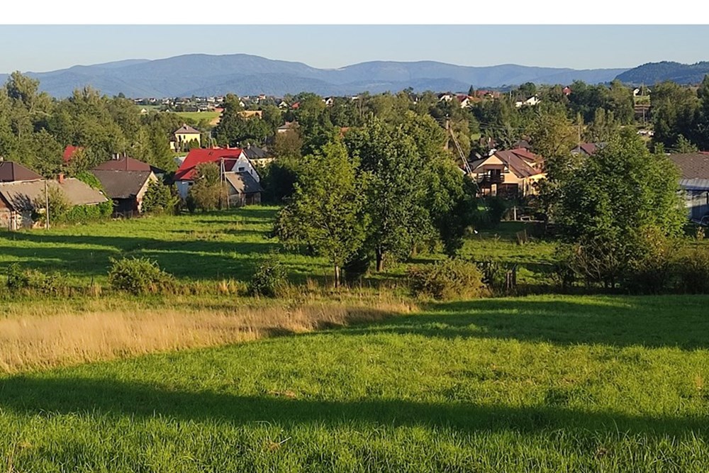 Działka - Sprzedaż - Lipowa, Polska - IMG_20250812_184634.jpg - 800061133-2