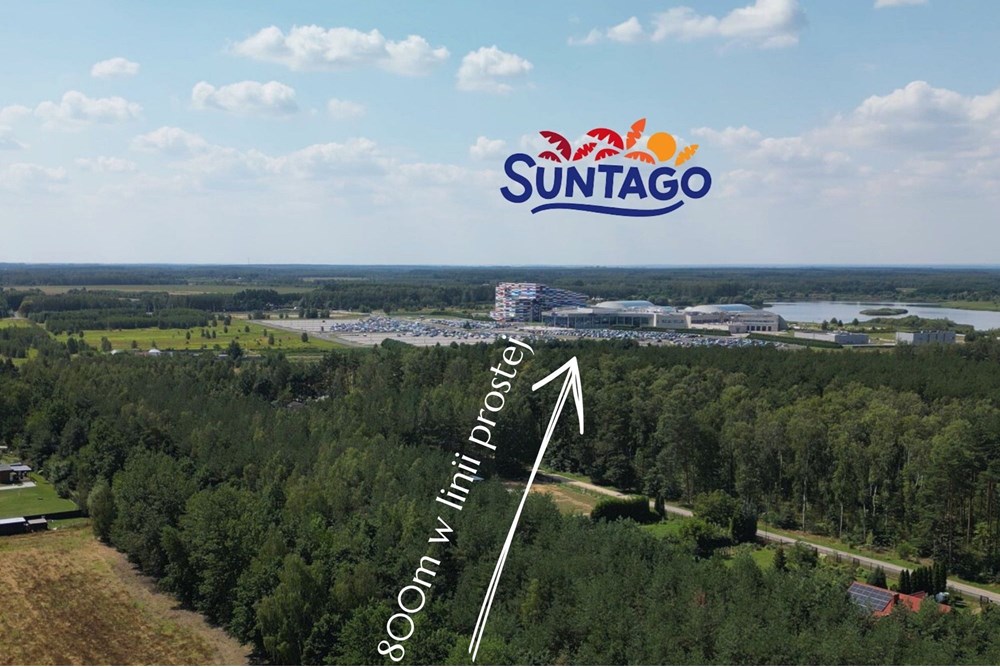 Działka - Sprzedaż - Krzyżówka, Polska - 9.jpg - 810051043-37