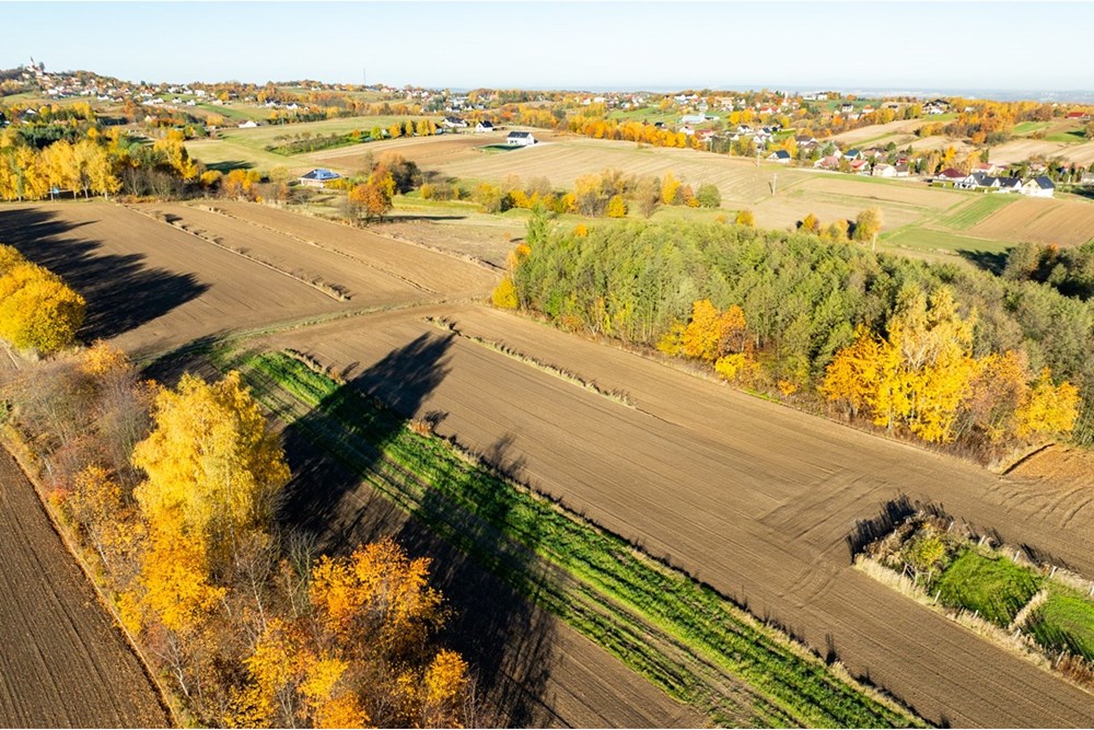 Działka budowlana - Sprzedaż - Trąbki, Polska - 20251031-DJI_0950-HDR.jpg - 800241005-219