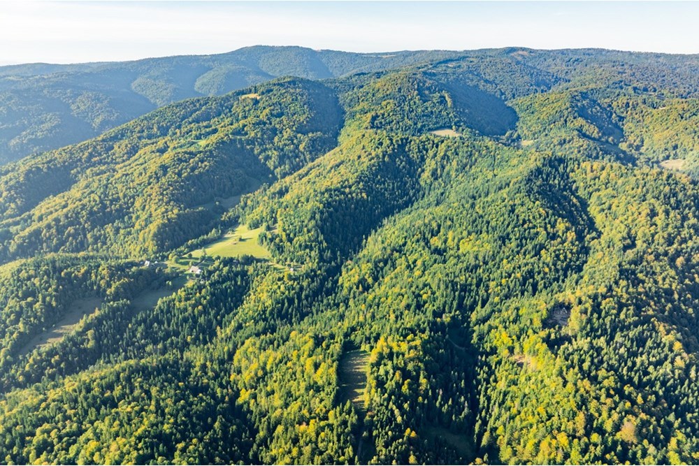 Działka - Sprzedaż - Harklowa, Polska - 20251004-DJI_0189-HDR.jpg - 470151024-458