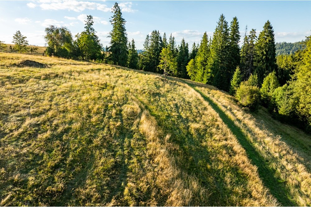 Działka - Sprzedaż - Zakopane, Polska - 20250826-DJI_0079-HDR.jpg - 470151024-450