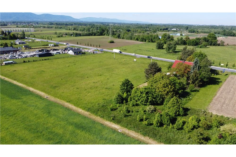 Nieruchomość gruntowa - Sprzedaż - Bielany, Polska - 6 - 800061127-10