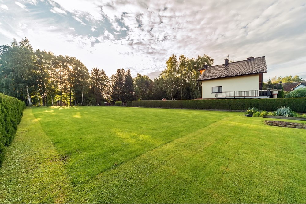 Dom dwurodzinny - Sprzedaż - Bestwinka, Polska - BEST_011M.jpg - 800061076-435