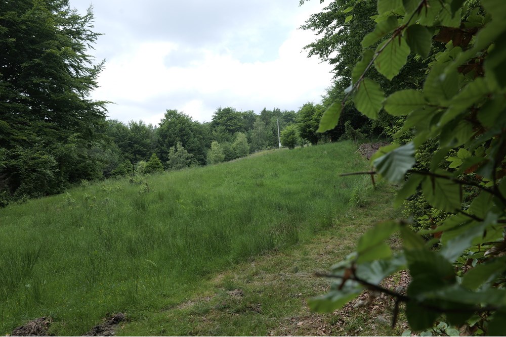 Działka - Sprzedaż - Wilkowice, Polska - P1011727.JPG - 800061116-13