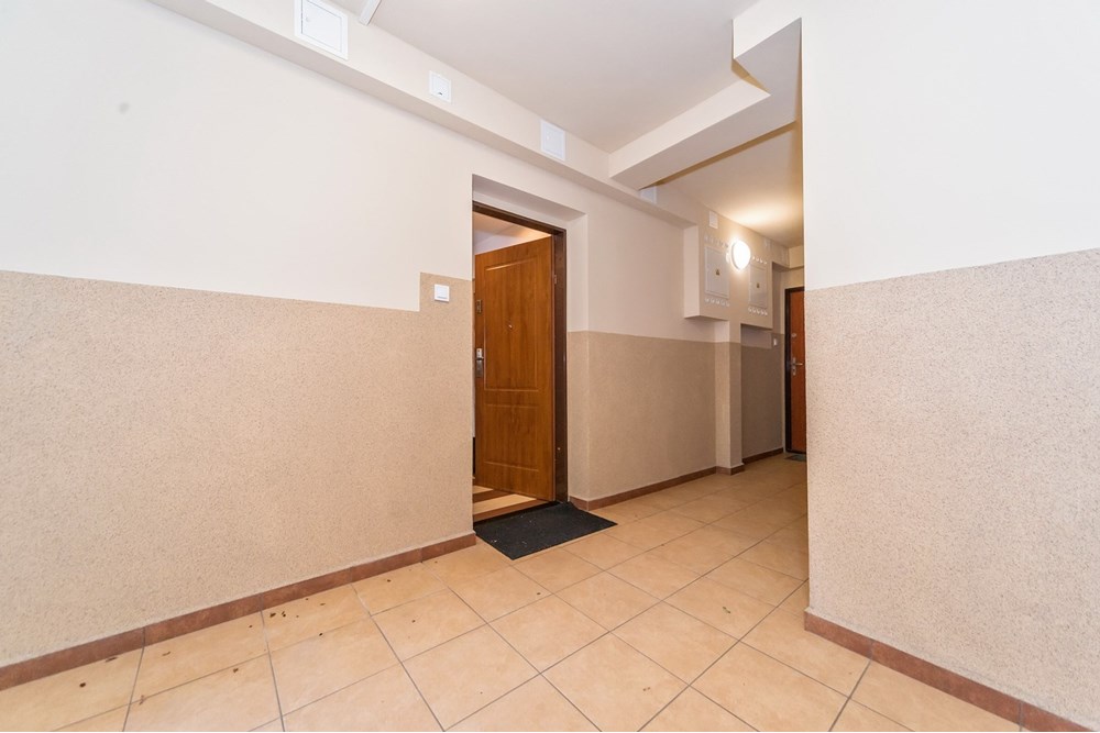 Mieszkanie - Wynajem - Bielsko-Biała, Polska - 9.jpg - 800061057-197