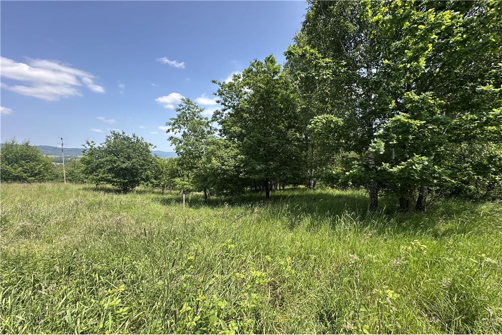 Działka budowlana - Sprzedaż - Rychwałd, Polska - 85 - 800061103-169