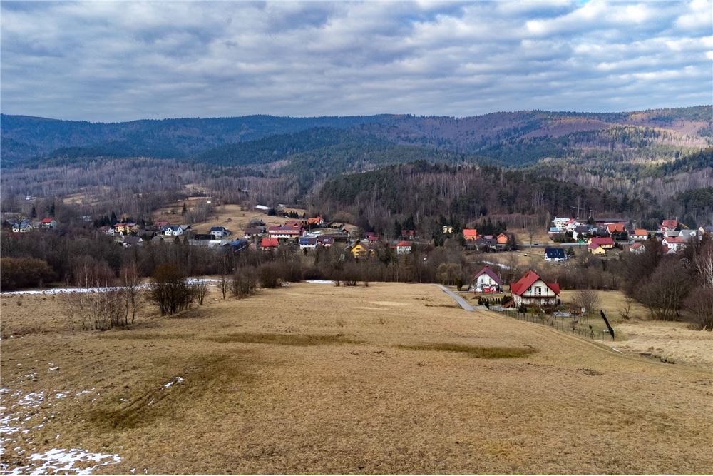 Działka budowlana - Sprzedaż - Las, Polska - 5 - 800061103-198