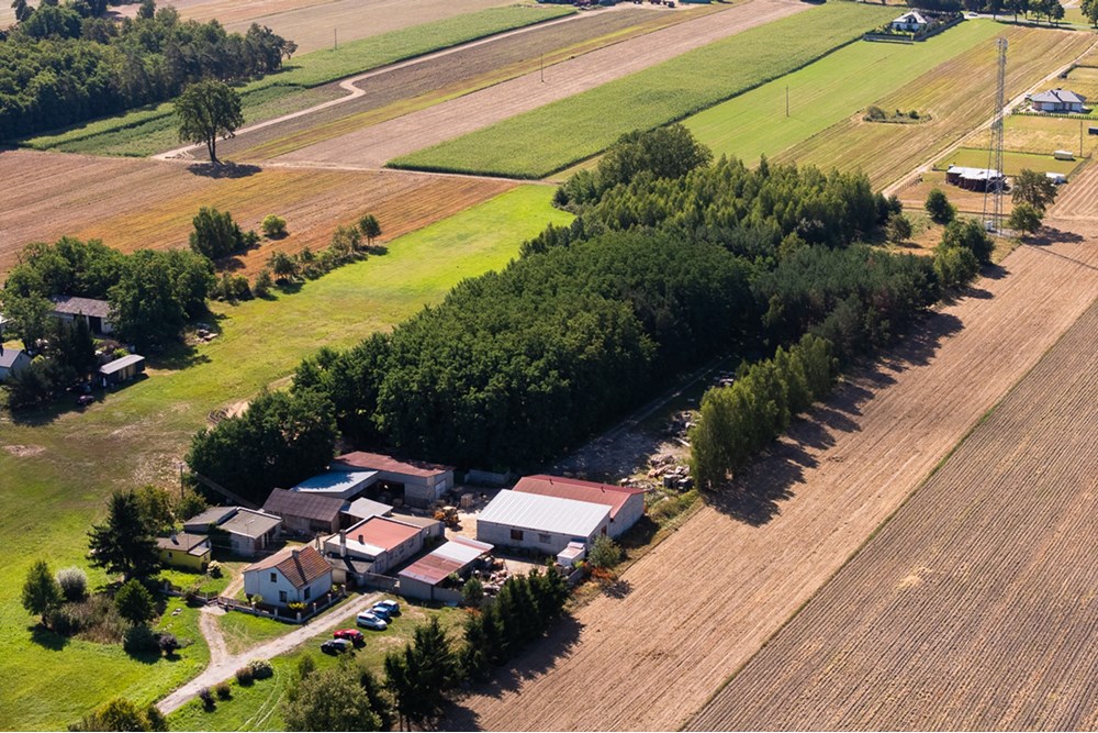 Nieruchomość gruntowa - Sprzedaż - Dalików, Polska - działka-32.jpg - 470291003-12