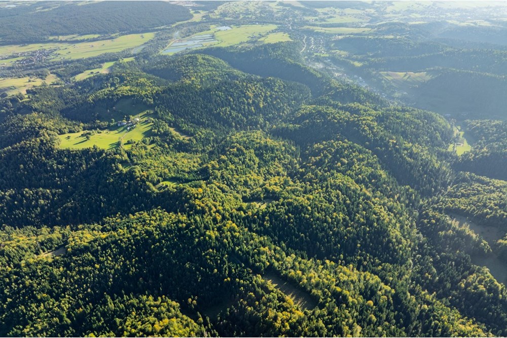 Działka - Sprzedaż - Harklowa, Polska - 20251004-DJI_0213-HDR.jpg - 470151024-458