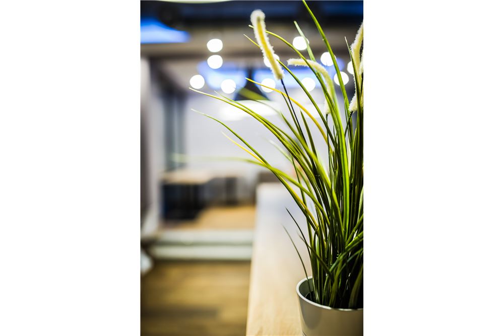 Dom wolnostojący - Sprzedaż - Korbielów, Polska - 59 - 800061076-401