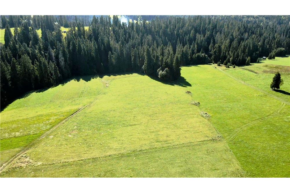 Działka - Sprzedaż - Rzepiska, Polska - 3 - 470151015-476