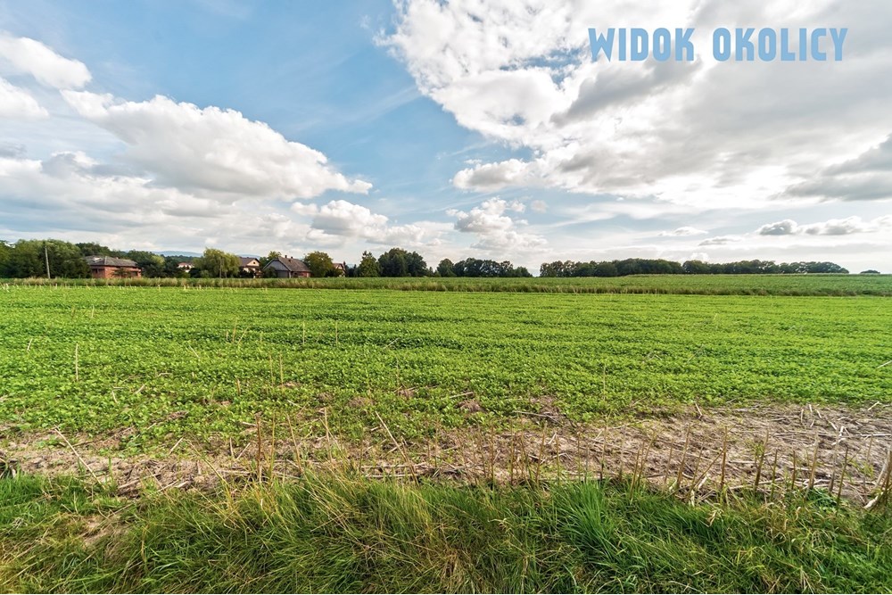 Działka budowlana - Sprzedaż - Bestwina, Polska - GOS_013M.jpg - 800061093-120