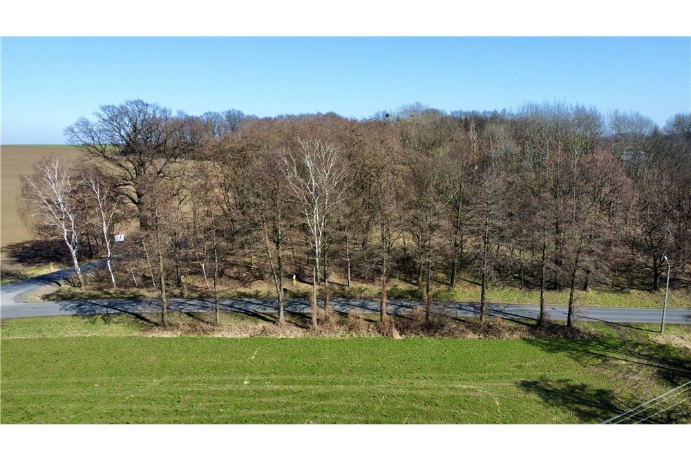 Działka budowlana - Sprzedaż - Osiek, Polska - 4 - 800061127-2