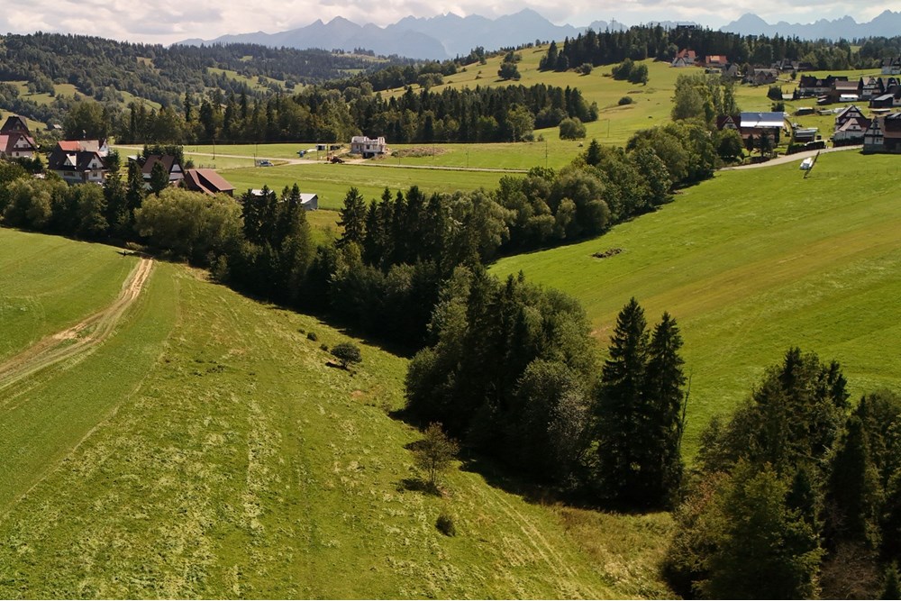 Działka - Sprzedaż - Leśnica, Polska - agent nieruchomosci zajac (3).jpg - 800091026-81