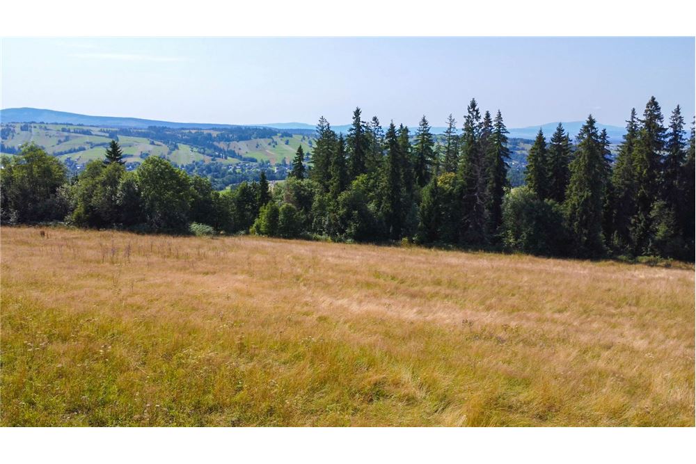 Nieruchomość gruntowa - Sprzedaż - Dzianisz, Polska - 58 - 800061116-23