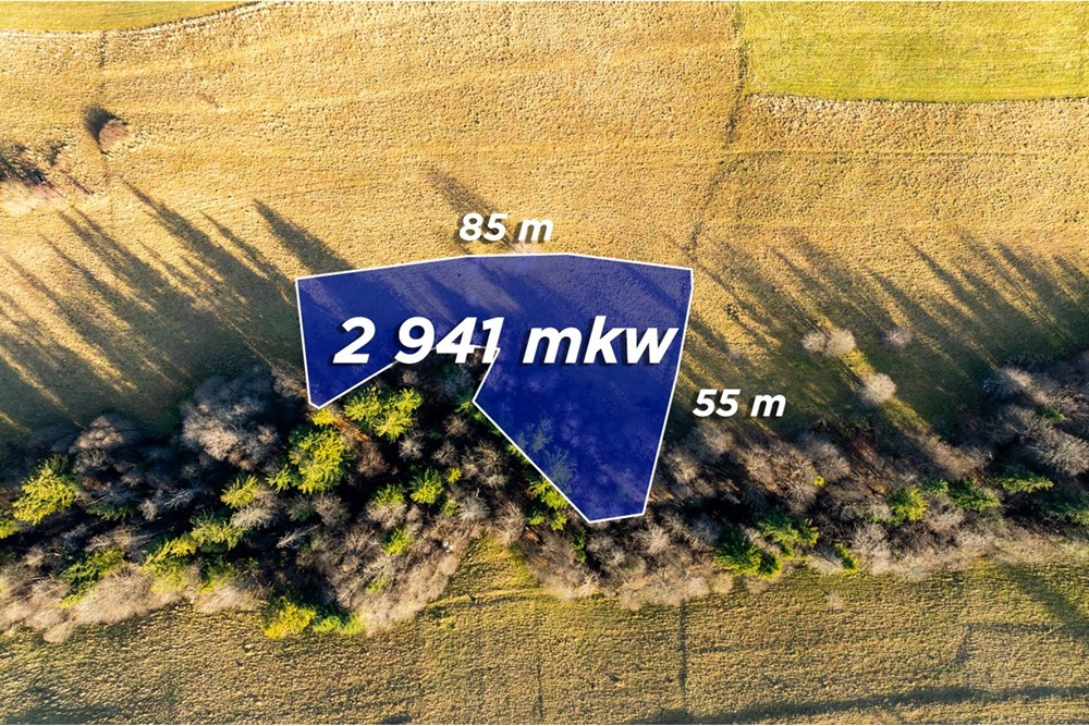 Działka - Sprzedaż - Zakopane, Polska - Artur Zajac (1).jpg - 800091026-87