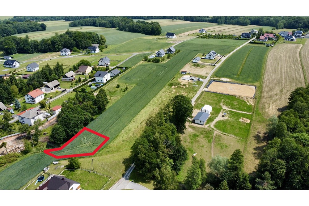 Działka budowlana - Sprzedaż - Witkowice, Polska - 1405.JPG - 800061127-21