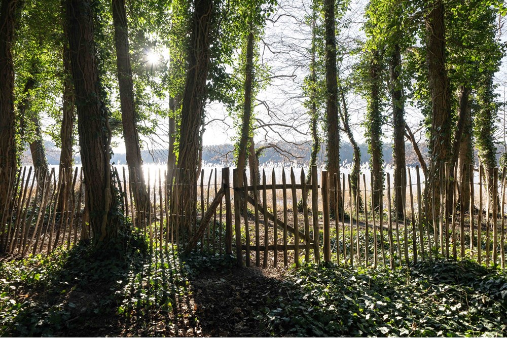 Dom wolnostojący - Sprzedaż - Kołczewo, Polska - DSC06371.jpg - 790121032-24