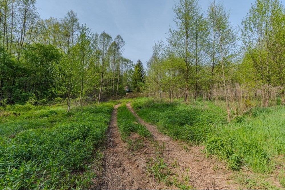 Działka - Sprzedaż - Barwałd Średni, Polska - BARWAŁD ŚREDNI_14.JPG - 470131106-29