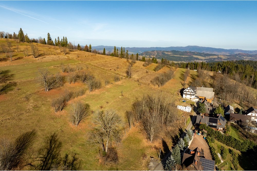 Działka - Sprzedaż - Rzepiska, Polska - 20251114-DJI_0884-HDR.jpg - 800091045-42