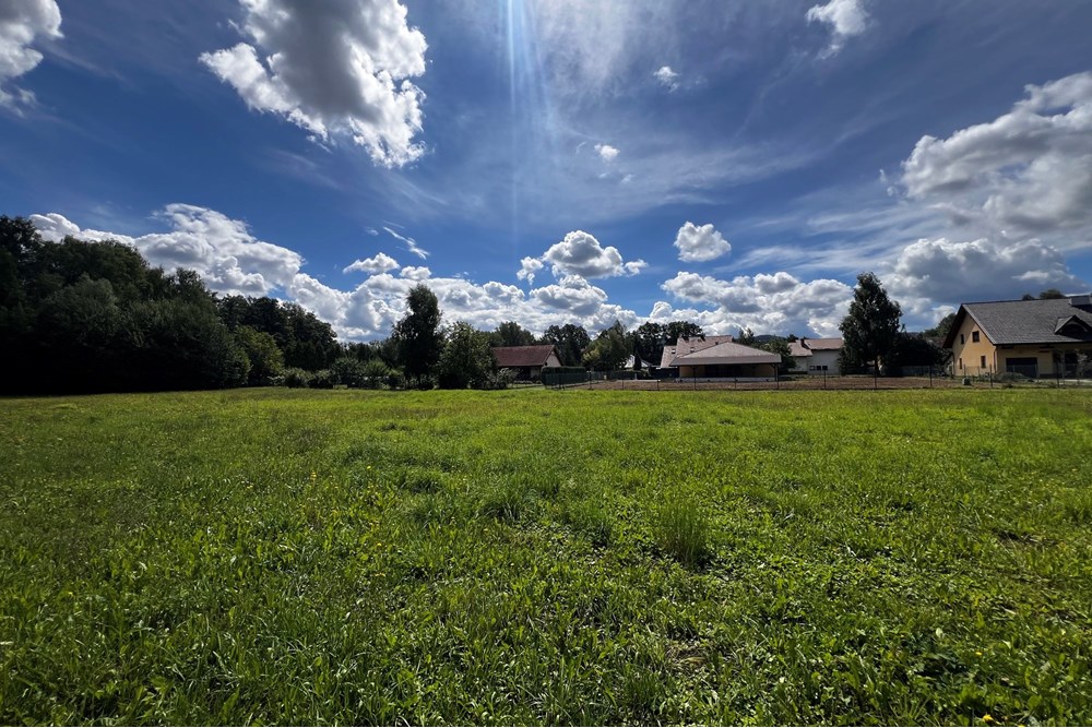 Działka budowlana - Sprzedaż - Jasienica, Polska - IMG_8097.jpeg - 800061117-35