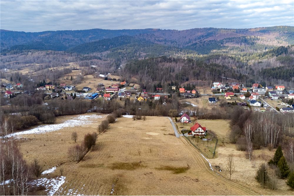 Działka budowlana - Sprzedaż - Las, Polska - 7 - 800061103-198