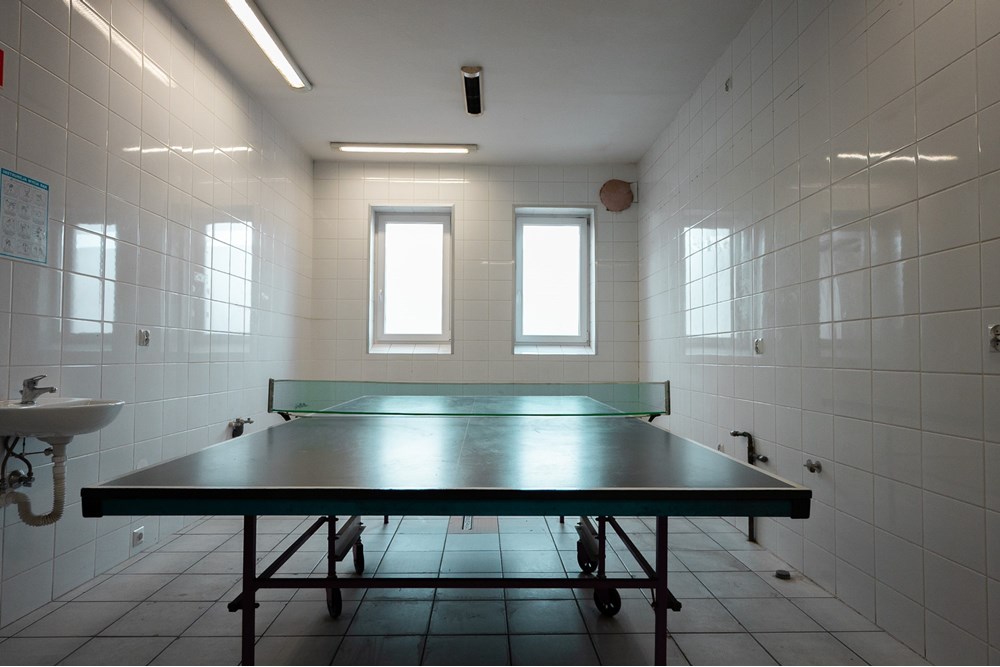 Lokal handlowy/usługowy - Wynajem - Imielin, Polska - DSC_2756.jpg - 800061127-7