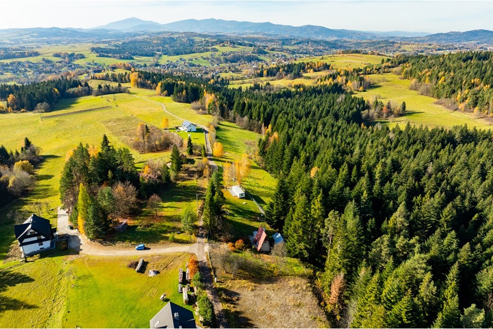 Działka - Sprzedaż - Skawa, Polska - 20251031-DJI_0240-HDR.jpg - 800091056-3