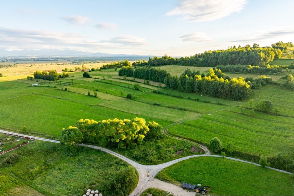 Działka budowlana - Sprzedaż - Pieniążkowice, Polska - DJI_0541-HDR-13.jpg - 800091045-36