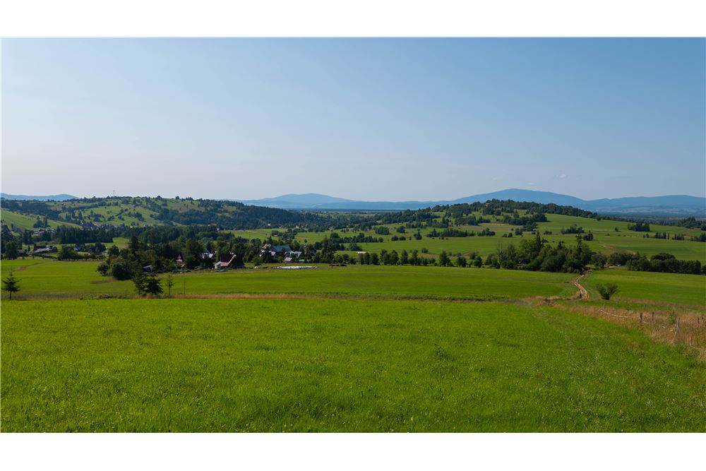 Nieruchomość gruntowa - Sprzedaż - Dzianisz, Polska - 17 - 800061116-24