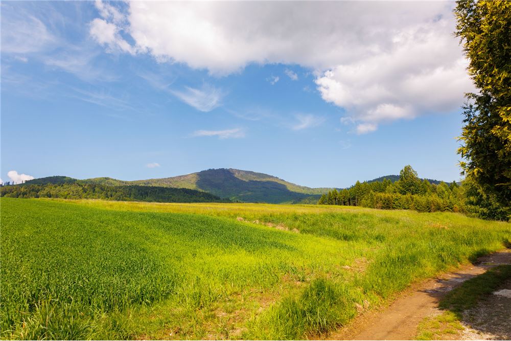 Działka budowlana - Sprzedaż - Lipowa, Polska - 8 - 800061107-97