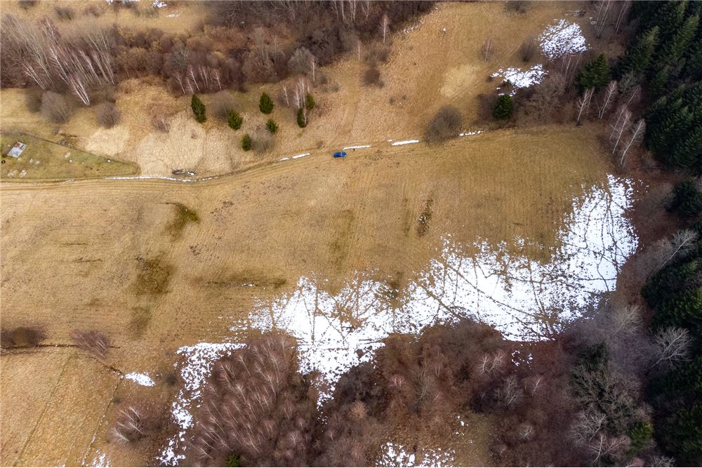 Działka budowlana - Sprzedaż - Las, Polska - 31 - 800061103-198