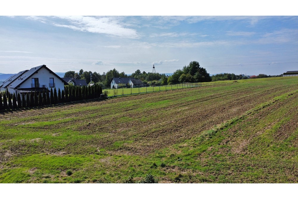 Działka budowlana - Sprzedaż - Frydrychowice, Polska - 8.jpg - 800061039-518