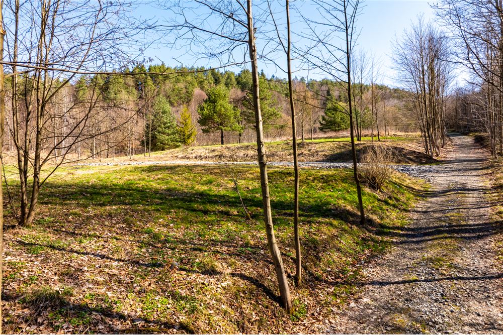 Działka budowlana - Sprzedaż - Stróża, Polska - 19 - 470151035-128