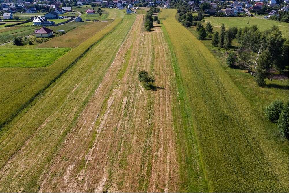 Działka budowlana - Sprzedaż - Lipowa, Polska - Działka_lipowa-7.jpg - 800061116-16