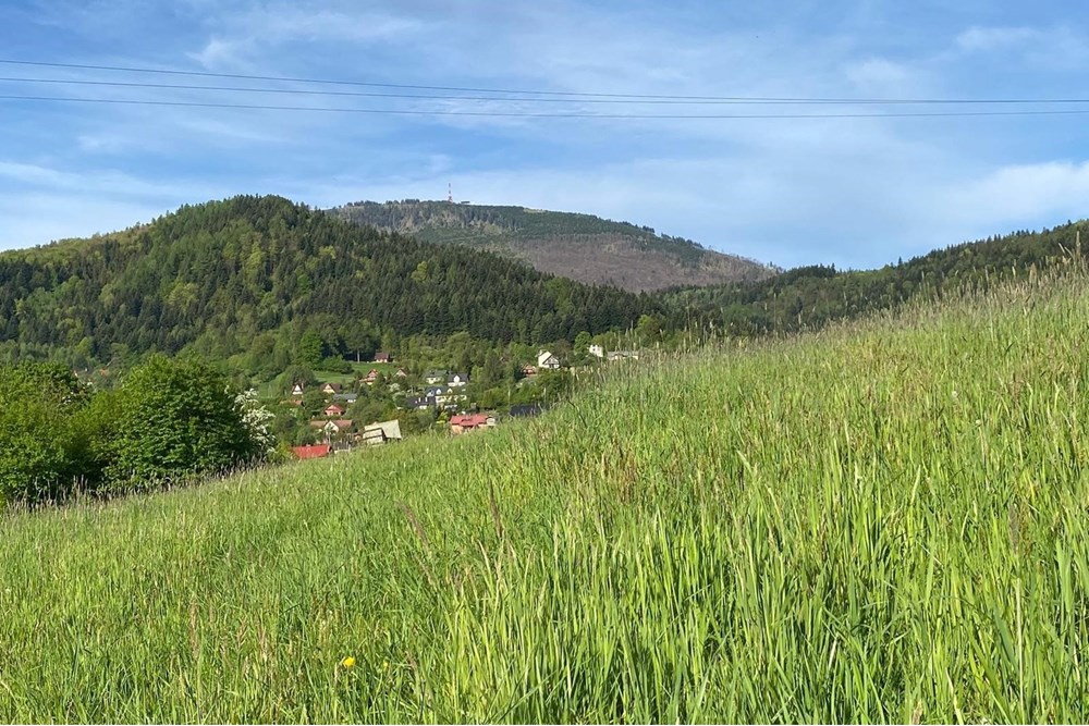 Działka - Sprzedaż - Lipowa, Polska - WhatsApp Image 2025-08-12 at 20.11.13.jpeg - 800061133-2