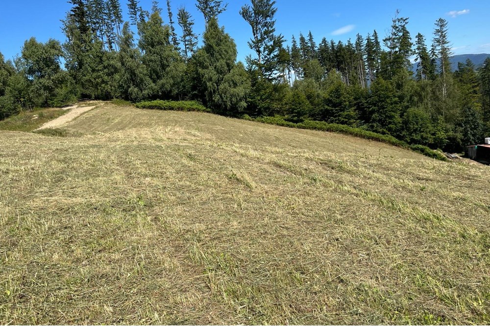 Działka - Sprzedaż - Wisła, Polska - jaworm3.jpg - 470131058-373