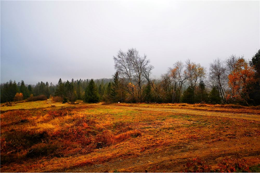 Działka - Sprzedaż - Wisła, Polska - 14 - 470131058-366