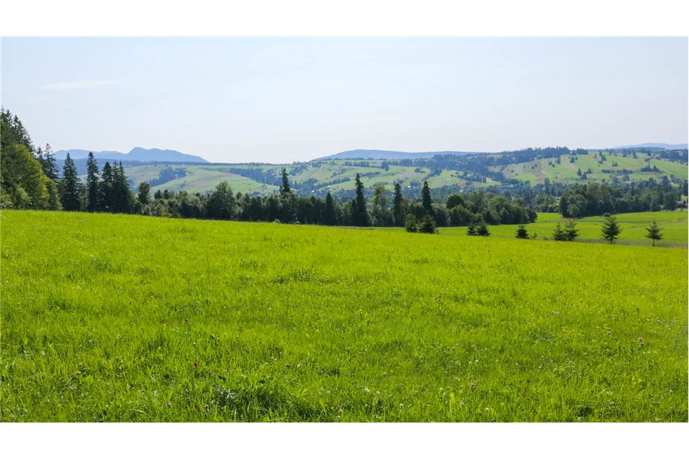 Nieruchomość gruntowa - Sprzedaż - Dzianisz, Polska - 25 - 800061116-24