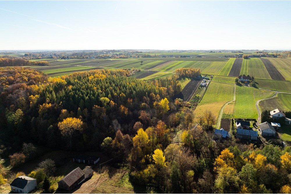 Dom wolnostojący - Sprzedaż - Stoki, Polska - 20251031-DJI_0121-HDR.jpg - 800241032-75