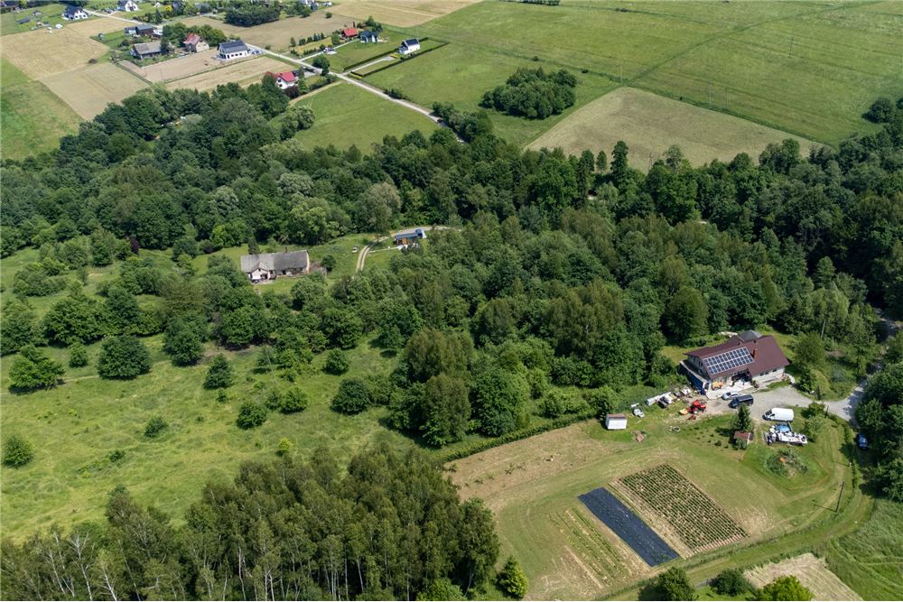 Działka budowlana - Sprzedaż - Rychwałd, Polska - 76 - 800061103-169