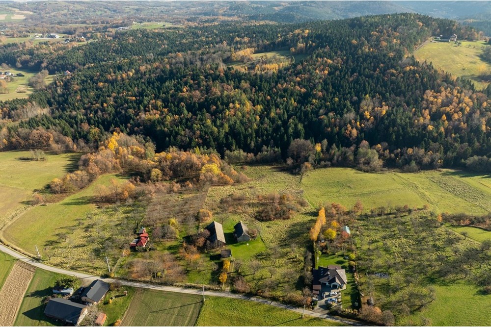 Dom wolnostojący - Sprzedaż - Krasne-Lasocice, Polska - 20251107-DJI_0583-HDR.jpg - 800241017-143