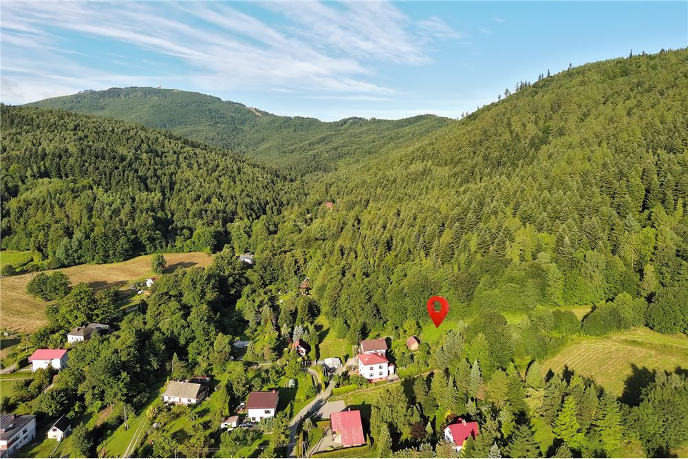 Działka - Sprzedaż - Godziszka, Polska - 17 - 800061116-19