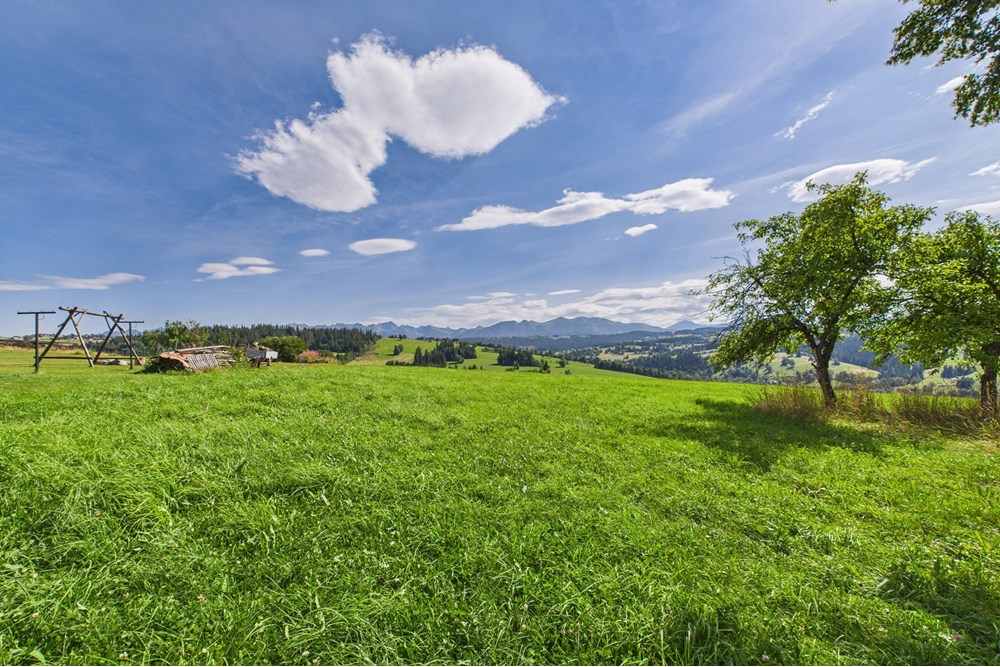 Dom wolnostojący - Sprzedaż - Czerwienne, Polska - CAM05558G0-PR0017-STILL013.jpg - 470151024-447